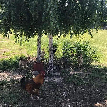 Le De La Massoterie *